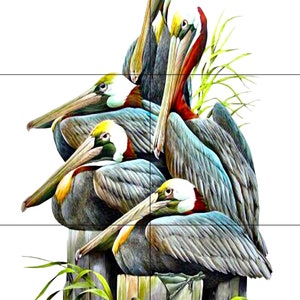 Pelican Tile Murals Home Decor Wall Murals Backsplash Interior Design Kitchen Murals Sea Birds Pelicans Pelican Tile Mural 3