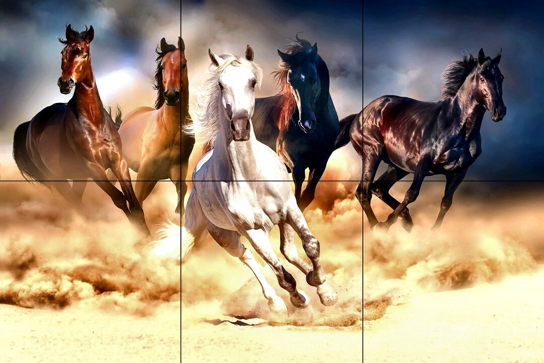 Wild Horse Murals Home Decor Wall Murals Backsplash Interior Design