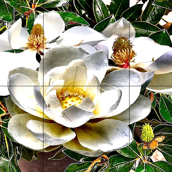 Magnolia Mural Etsy