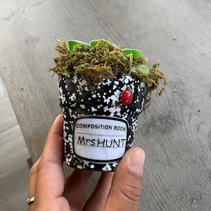 May include: A small black and white speckled planter with a green plant and moss growing inside. The planter has a white label that says "Composition Book Mrs. Hunt".