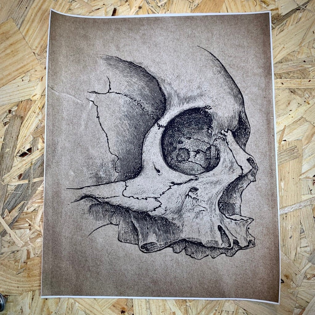 Affiche Imprimée Style Rétro Dessin de Crane Skull Vintage. Toile à Tableau.