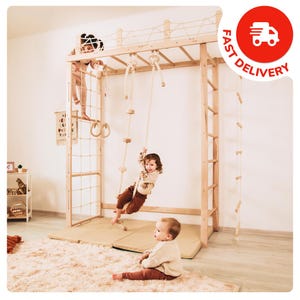 Indoor Jungle Gym for Kids, Swedish Ladder, Rope Swing, Wooden Play Equipment with Mats, Montessori Climbing Set