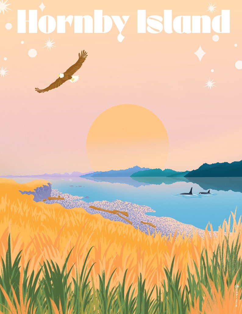 May include: A digital illustration of a sunset over a body of water with a rocky shore in the foreground. The sky is a gradient of pink and orange, and the sun is a bright orange circle. There are two orcas swimming in the water, and a bald eagle flying in the sky. The text "Hornby Island" is written in white letters at the top of the image.