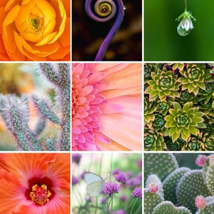 Knoebels 2022 Calendar 2022 Calendar Featuring Images Of Knoebels | Etsy