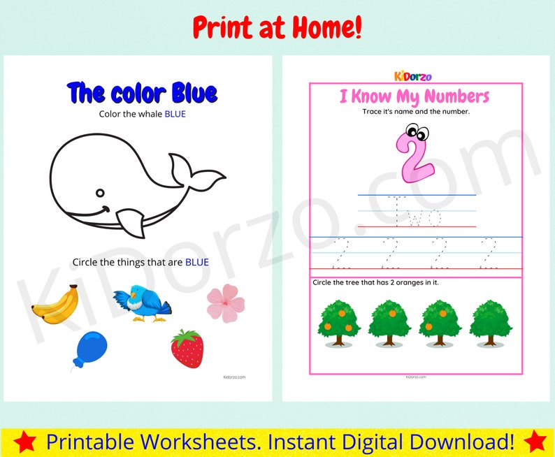 Preschool Printable Bundle - Toddler Learning Materials