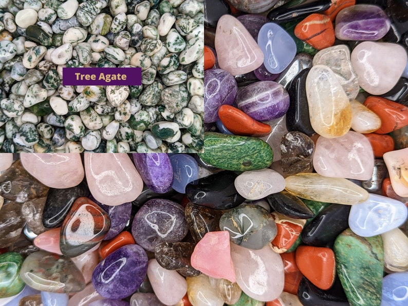 Bulk Tumbled Crystals 10-20 mm, Ethically Sourced Crystals, Eco-friendly Packaging, Bulk Crystals Tree Agate
