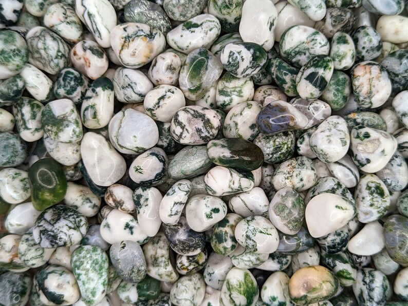 Tree Agate Bulk Ethically Sourced Crystals Ecofriendly Etsy