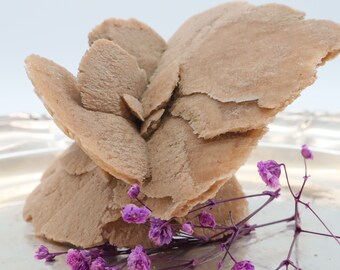 Desert rose | Sand rose | Wishing stone | Selenite | Decorative stone | for meditation as a scented stone | Mineral stones and clusters for collecting |