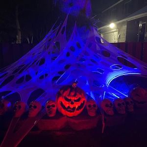 Halloween Beef Netting Spiderweb