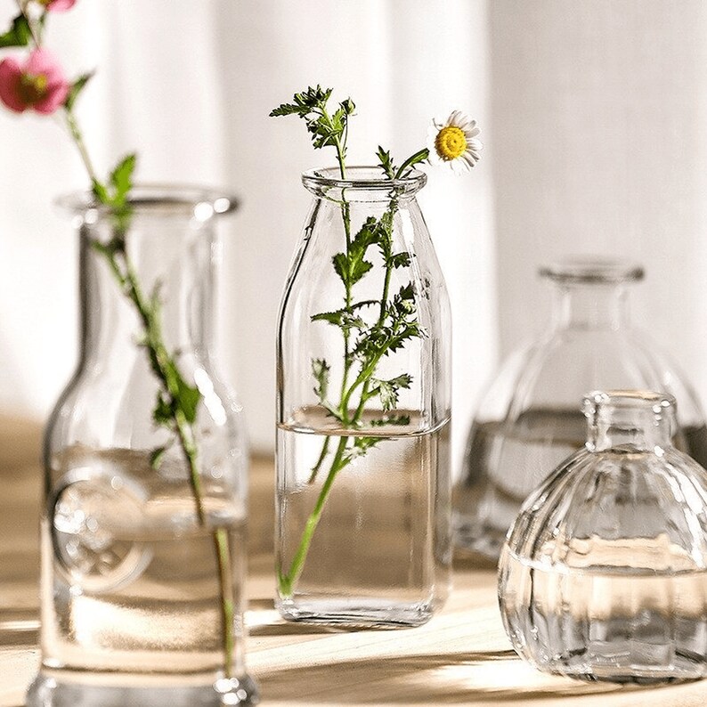 Clear Glass Vases for Flowers Clear Glass Small Vase Set Etsy