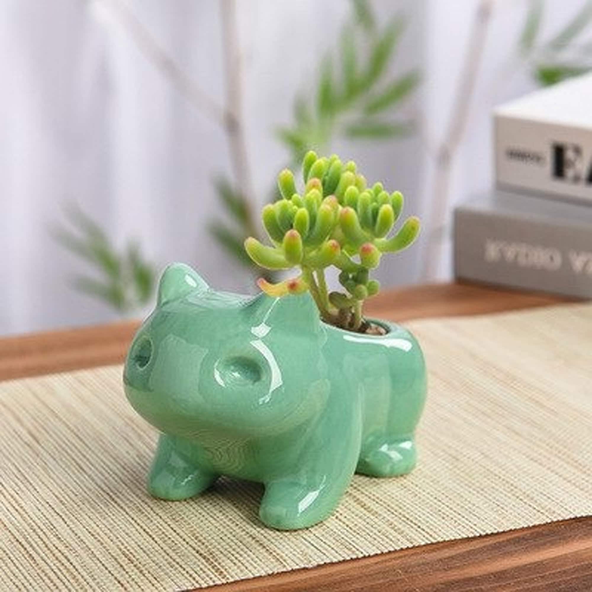 Bulbasaur Ceramic Planter Succulent Flower Pot Animal Cactus Etsy Canada