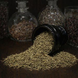 Rosemary Leaf Dry Herb