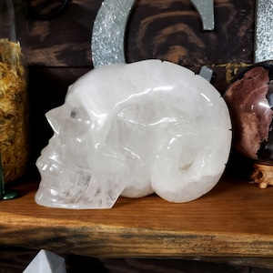 Ram Horn Crystal Skull