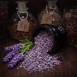 Lavender Flower Dry Herb