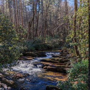 May include: A small stream flows through a lush green forest. The water cascades over rocks and creates a peaceful atmosphere. The forest is filled with tall trees and lush greenery.