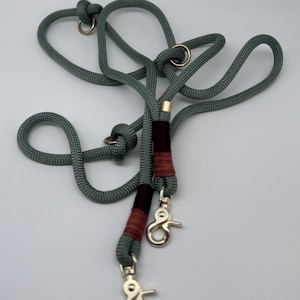 Puede incluir: Una correa doble para perros de color verde salvia con dos clips y detalles rojos y marrones.