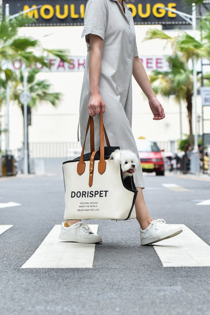 GOYARD/ Goya handbag VILLETTE Tote bag puppy painted shopping bag