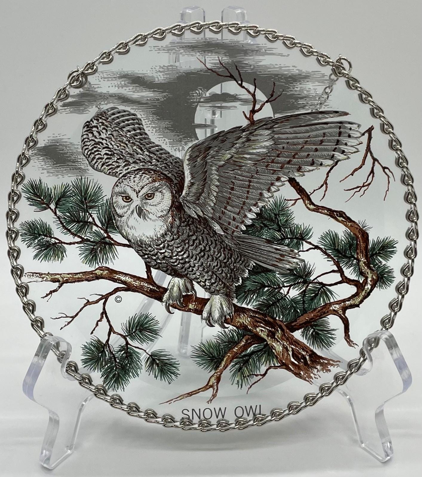 Vintage, hand-painted Snowy Owl glass suncatcher