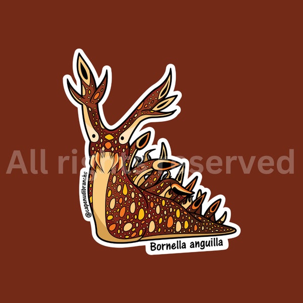 Nudibranch Sea Slug Sticker, Eel Bornella Nudibranch Sticker, Scuba Diving Sticker, Aquatic Marine Ocean Life Stickers, Sea Animal Sticker