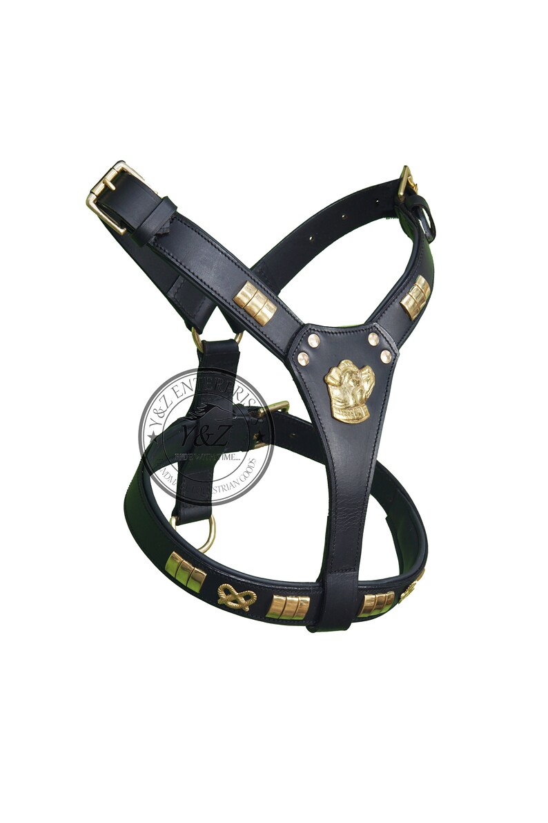 Staffy Face Staffordshire Bull Leather Studd Dog Harness Chain Lead Set