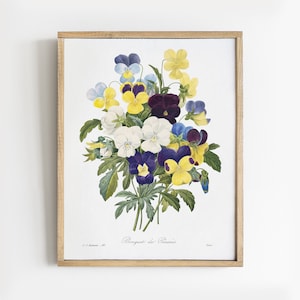 Pansy Print, Pansy Painting, Flower Illustration, Kitchen Decor, Botanical Print # V27