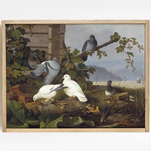 Wild Pigeons, Pigeons Painting, Bird Watching Decor, Birding Enthusiast, Nursery Decor # 187
