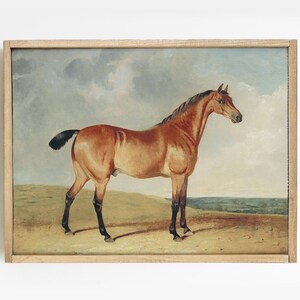 Horse Painting, Equestrian Portrait, Horse Print, Animal Art, Farmhouse Decor # 150