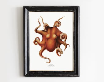 Octopus Print, Octopus Painting, Kraken Vintage Art, See Animal Art, Sea Poster, Mailed Print # V124