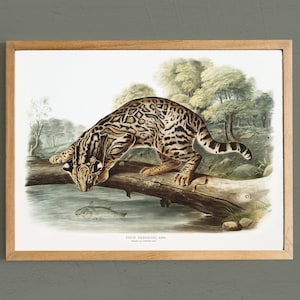 Ocelot Print, Leopard Cat Print, Cat Anique Painting, Mailed Print # V65