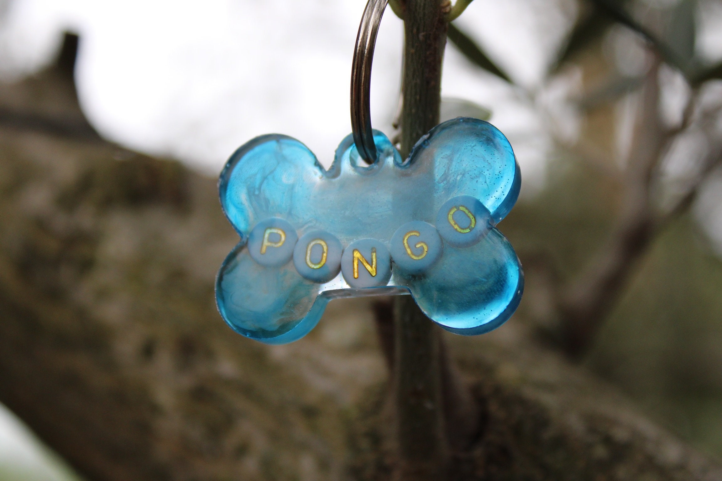 Médaillon Personnalisable Pour Chien