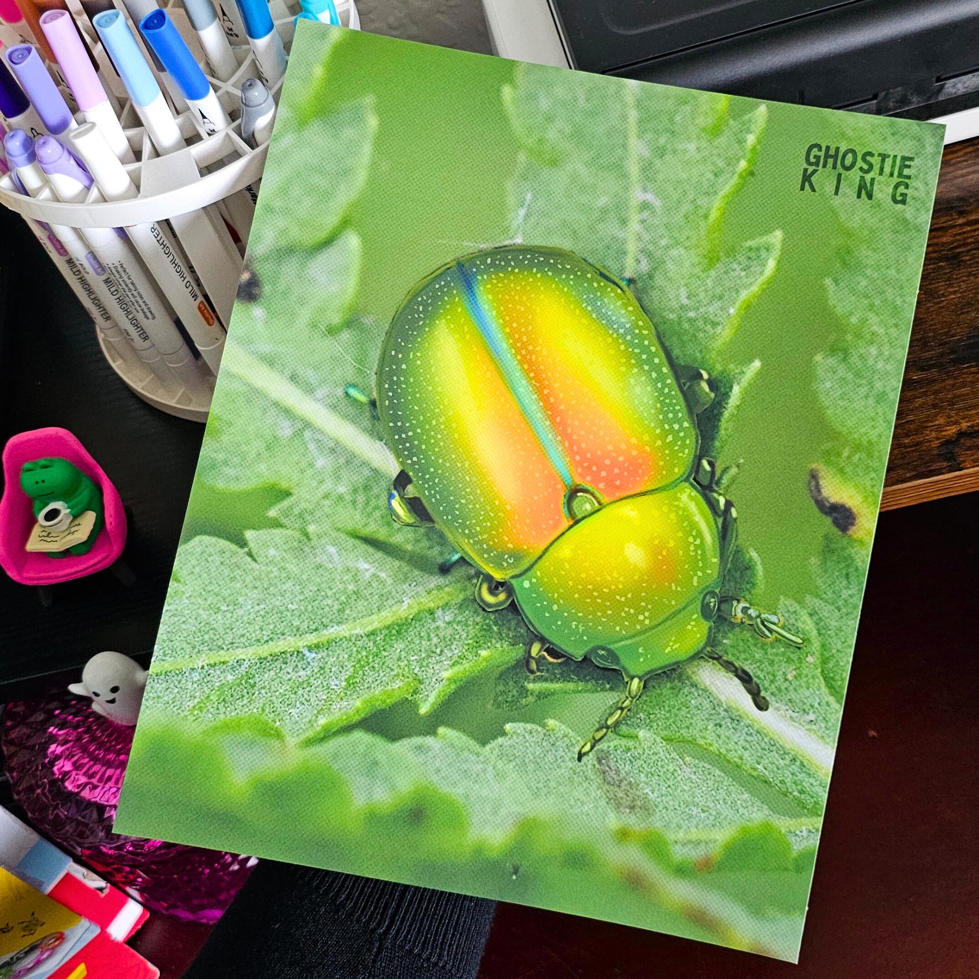 Iridescent Beetle 8X10 Art Print - Green Bug Themed Wall Decor - Etsy