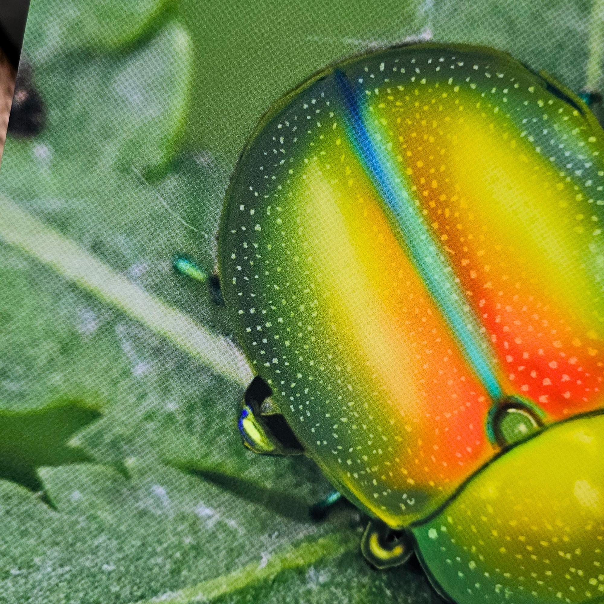 Iridescent Beetle 8X10 Art Print - Green Bug Themed Wall Decor - Etsy