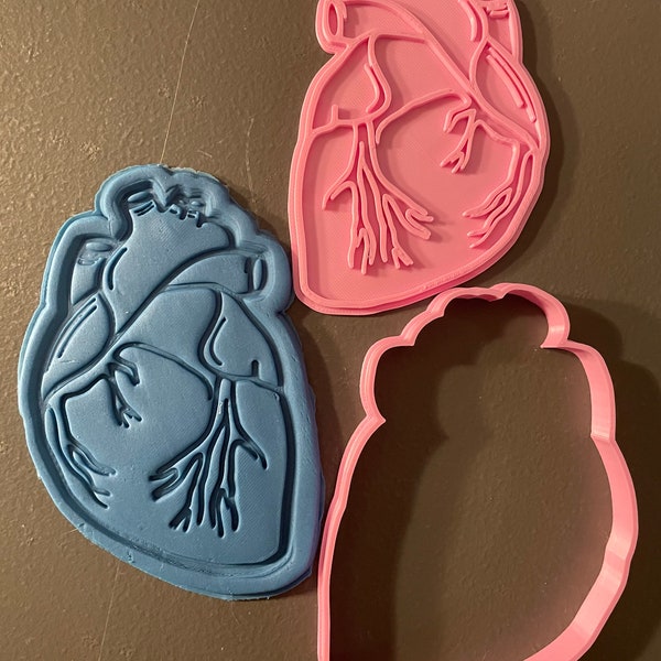 Set Di 4 Formine Per Biscotti Anatomiche – Cuore, Polmoni, Rene, Cervello – Plastica Alimentare – 10 Cm Circa