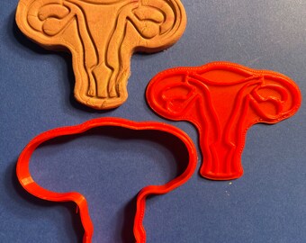 Female uterus cookie cutter STL digital file | Graduation gift | Student Gift | OOAK Gift | Get well soon | Clay and Fondant Press