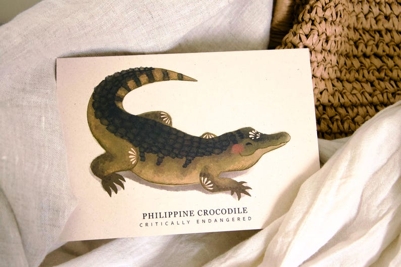 May include: A watercolor illustration of a Philippine crocodile on a cream-colored card. The crocodile is depicted in shades of green, brown, and black, with a smiling expression. Text at the bottom reads "Philippine Crocodile Critically Endangered."