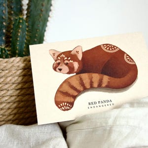 Może przedstawiać: Akwarelowa ilustracja pandy rudej na kremowej karcie. Panda jest brązowa z dekoracyjnymi oznaczeniami i paskowanym ogonem. Tekst brzmi "RED PANDA ENDANGERED". Kaktus w plecionym garnku znajduje się w tle.