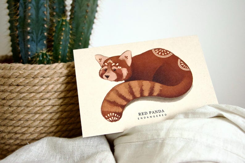 Może przedstawiać: Akwarelowa ilustracja pandy rudej na kremowej karcie. Panda jest brązowa z dekoracyjnymi oznaczeniami i paskowanym ogonem. Tekst brzmi "RED PANDA ENDANGERED". Kaktus w plecionym garnku znajduje się w tle.