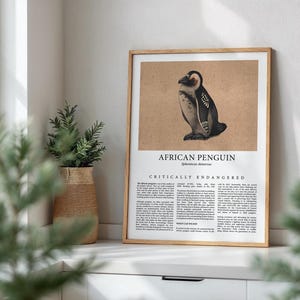 Pinguin Druck, Afrikanischer Pinguin Wanddruck, Bedrohtes Tier, Lernposter Wildtiere, Wildtier Poster, Geschenk für Tierliebhaber