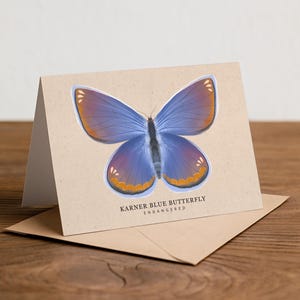 K&ouml;nnte beinhalten: Eine gefaltete Gru&szlig;karte mit einer Illustration des Karner-Bl&auml;ulings. Der Schmetterling hat blaue Fl&uuml;gel mit orangefarbenen und violetten Akzenten. Die Karte liegt auf einem Kraftpapierumschlag, mit dem Text "KARNER BLUE BUTTERFLY ENDANGERED" darunter.