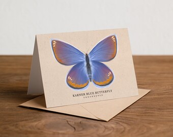 Könnte beinhalten: Eine gefaltete Grußkarte mit einer Illustration des Karner-Bläulings. Der Schmetterling hat blaue Flügel mit orangefarbenen und violetten Akzenten. Die Karte liegt auf einem Kraftpapierumschlag, mit dem Text "KARNER BLUE BUTTERFLY ENDANGERED" darunter.