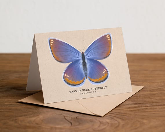 Karner Blue Butterfly Greetings Card: Reusable A6 Postcard, Recycled Kraft Envelope