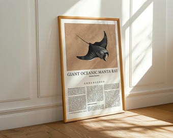 Może przedstawiać: Oprawiony plakat z szczegółową ilustracją gigantycznej manty oceanicznej. Grafika umieszczona jest na brązowym tle z tekstem "GIANT OCEANIC MANTA RAY" i "ENDANGERED". Plakat jest w drewnianej ramie i opiera się o białą ścianę.