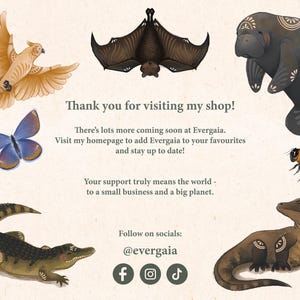 Może przedstawiać: Ozdobna ilustracja z ptakiem, nietoperzem, manatem, motylem, pszczołą, krokodylem i jaszczurką. Tekst brzmi: &bdquo;Dziękuję za odwiedzenie mojego sklepu!&rdquo; i zaprasza do śledzenia w mediach społecznościowych.