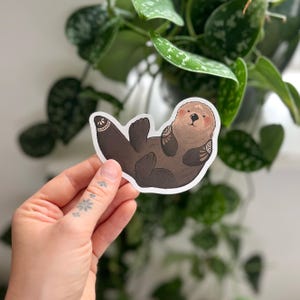 Sea Otter Sticker, Stationery, Endangered Marine Life, Conservation, Eco-friendly Sticker, Cute Sticker Set, Save The Ocean, Craft Supplies