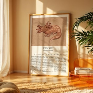Stampa di Axolotl, stampa da parete, stampa da parete di animali in via di estinzione, poster educativo sulla fauna selvatica, stampa di animali selvatici, poster di animali, regalo per gli amanti degli animali