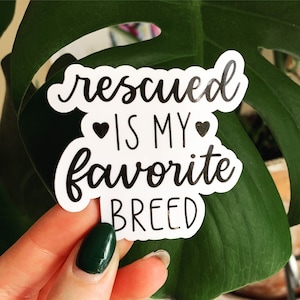Pegatina de rescate de animales, rescatado es mi raza favorita, pegatina de rescate de perros, pegatina de rescate de gatos, pegatina de cita