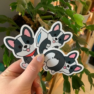 Paquete de pegatinas de dibujos animados Tri corgi / paquete de paquete / oferta de paquete múltiple / descuento de grupo