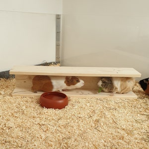 Könnte beinhalten: Drei Meerschweinchen in einem hölzernen Gehege mit einer braunen Keramik-Futternapf. Zwei Meerschweinchen sind im Gehege, eines ist draußen. Das Gehege hat eine Holzrampe.