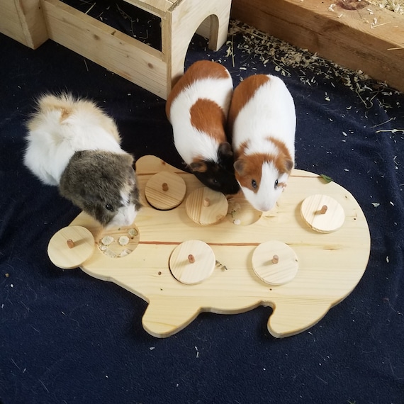 Intelligenzspielzeug fr Meerschweinchen aus Holz 80045 - Etsy.de