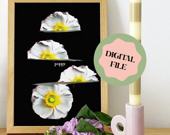Floral Art - Digital Download Poppy Flower | Decorative Poster | Photography | Printable Wall Art
